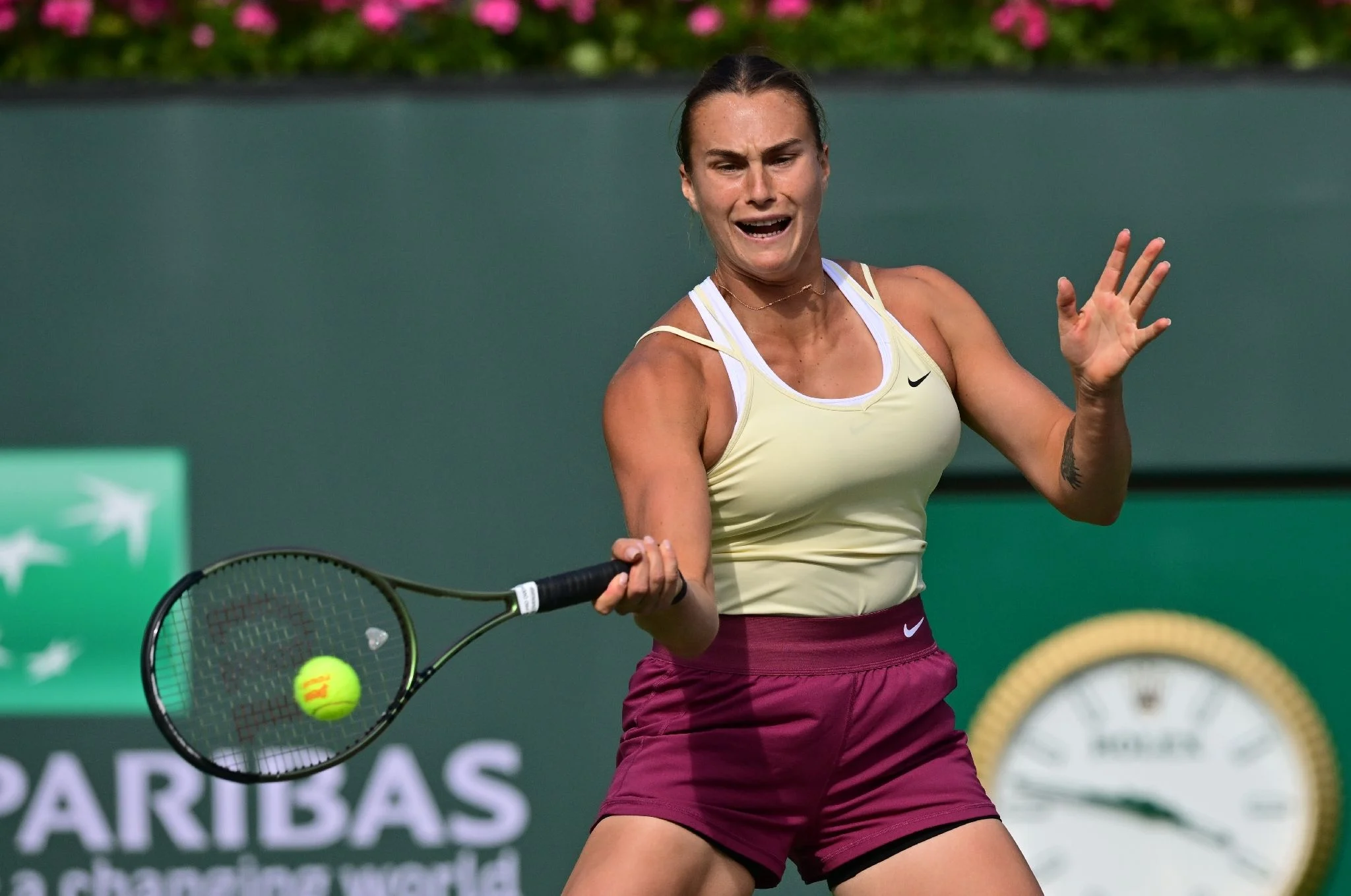 Aryna Sabalenka Ungkap Dukungan Mental dari Anjing Baru di Indian Wells, Sementara Sorotan pada Rivalitas dan Kehidupan Pribadi