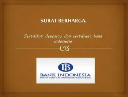 Bank Indonesia Luncurkan Skema FX Repo Berbasis Surat Berharga Valas