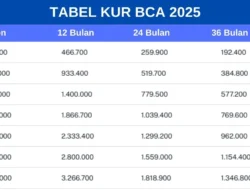 BCA Janjikan Dividen Interim Tiga Kali 2026, Apa Makna Bagi Investor Ritel?