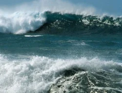 BMKG Peringatkan Gelombang 4 Meter! Ancaman Siklon Nuri Goyang Lautan Indonesia Timur