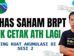 BRPT Anjlok dalam Sepekan, Asing Tangkap Peluang Akumulasi