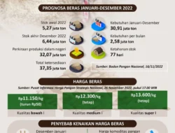 DPR Dorong Roadmap Ekspor Beras Nasional di Tengah Surplus Produksi