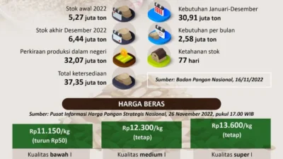 DPR Dorong Roadmap Ekspor Beras Nasional di Tengah Surplus Produksi