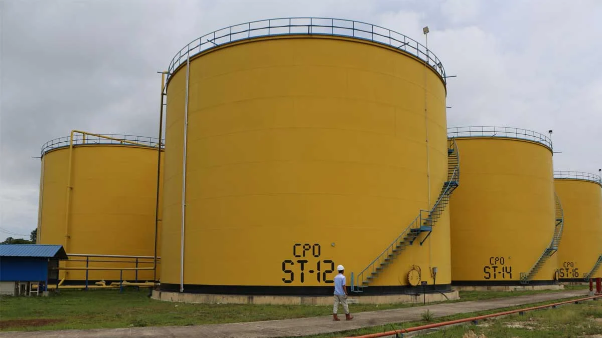 DSNG Catat Kinerja Solid 2025, Didukung Sektor Sawit dan Diversifikasi Bisnis