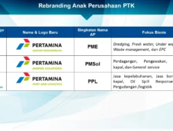 Ekspansi PIK2 Berlanjut, PANI Setor Modal Rp701 Miliar ke Tiga Anak Usaha