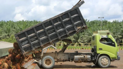 Laba DSNG Melonjak 60 Persen, Harga CPO Jadi Pendorong