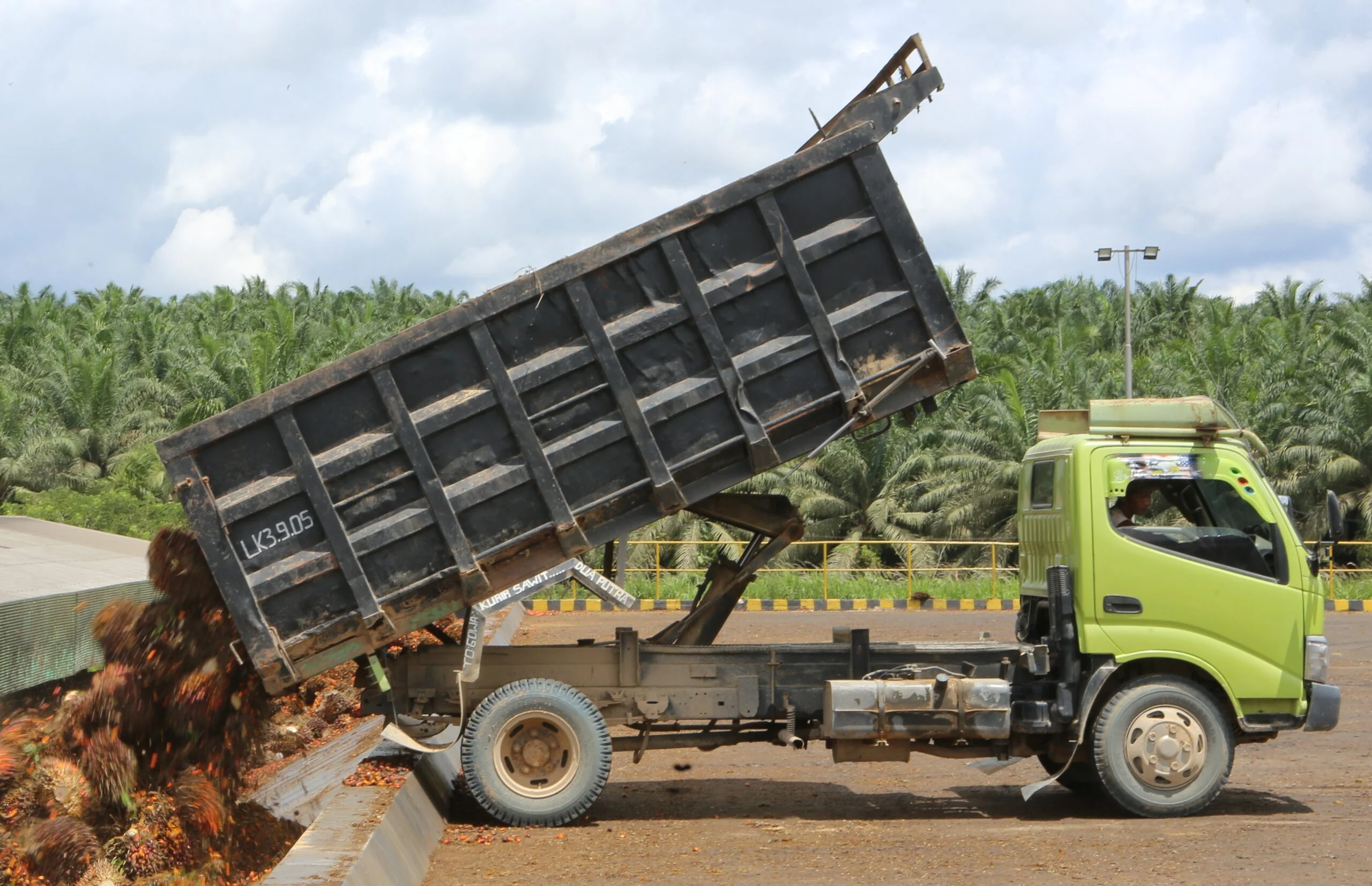 Laba DSNG Melonjak 60 Persen, Harga CPO Jadi Pendorong