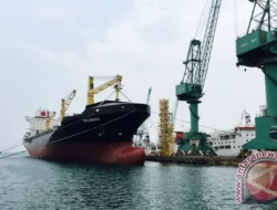 OJK: Insentif Galangan Kapal Buka Peluang Besar bagi Industri Asuransi