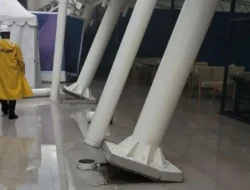 Padel di Jakarta Barat Dihentikan: 2 Lapangan Disegel, Pemerintah Gencar Tinjau Ulang Izin