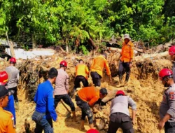 Pengungsi di Aceh dan Sumut Turun Drastis Menjelang Lebaran: Angka Terkini dan Upaya Pemerintah