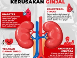 Stop Obat Tekanan Darah Karena Takut Kerusakan Ginjal? Fakta, Risiko, dan Cara Deteksi Dini