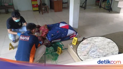 Tragedi Sadis di OKU Selatan: Suharlan Tega Bunuh Kekasihnya, Staf Bawaslu Maria Simaremare Tewas Digorok Leher