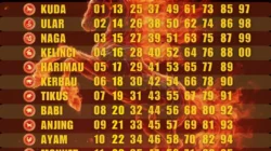 5 Shio Paling Beruntung Selasa 14 April 2026: Kuda, Naga, Kerbau dan Tips Memaksimalkan Keberuntungan