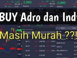 ADRO Buy on Weakness, Harga Tertahan Jelang Dividen Jumbo