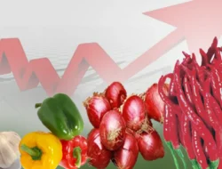 Allo Bank Waspadai Kenaikan NPL Usai Lebaran