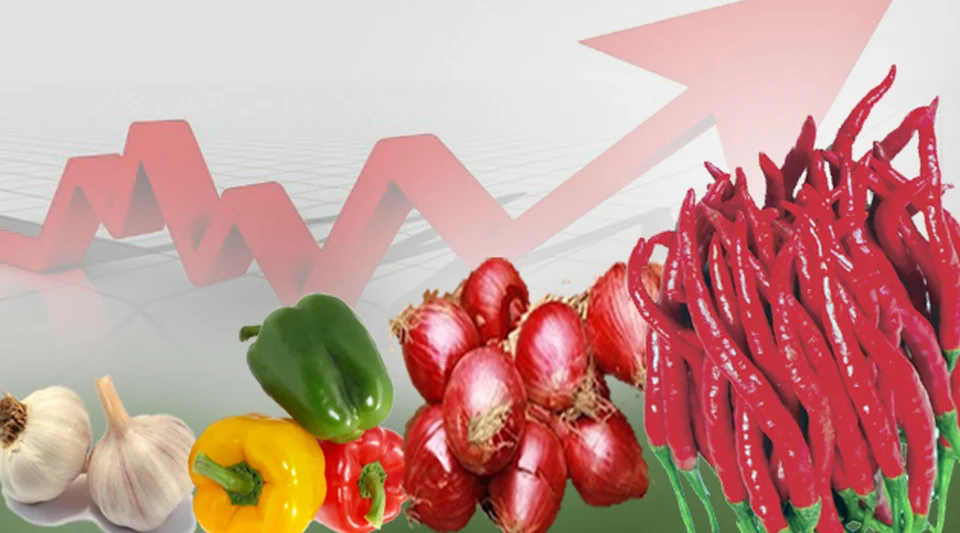 Allo Bank Waspadai Kenaikan NPL Usai Lebaran