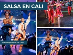 América de Cali: Dari Laga Internasional hingga Gerakan Budaya Salsa di Kota Cali