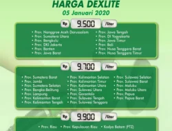 Antrean Solar Pagi Hari dan Penurunan Penjualan Dexlite Turun 50%: Dampak Kenaikan Harga BBM