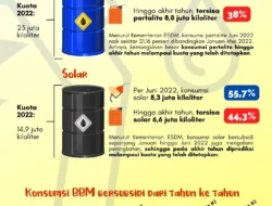 APBN Goyang: Hanya Tahan Kenaikan BBM Selama Beberapa Minggu, Apa Dampaknya?