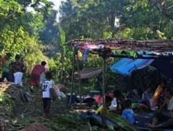 Asuransi Umum Masih Inventarisasi Objek Terdampak Gempa Maluku