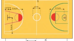 Bologna vs: Duel Ganda di Lapangan Basket dan Sepak Bola Mengguncang Fans Italia