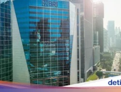 BOLT Putuskan Kasih Cuan Rp50 per Saham, Catat Tanggalnya