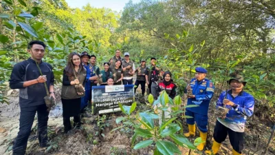 BRI Perkuat Ekosistem Pesisir Lewat Penanaman 500 Mangrove