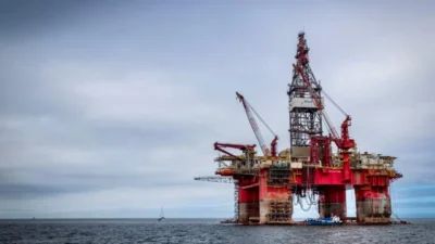 BRIN Kembangkan Biofuel Hutan, Nyamplung Digadang Jadi Jalan Keluar Impor BBM