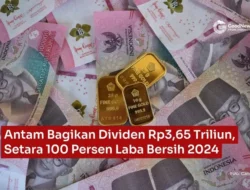 CINT Bagikan Dividen 45,34% dari Laba Bersih