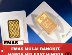 CMRY Mulai Bangkit, Analis Targetkan Harga Rp6.776