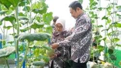 CNAF Lakukan Diversifikasi Pendanaan di Tengah Suku Bunga yang Ditahan