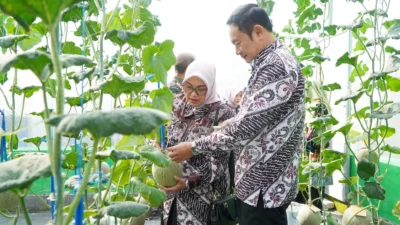 CNAF Lakukan Diversifikasi Pendanaan di Tengah Suku Bunga yang Ditahan