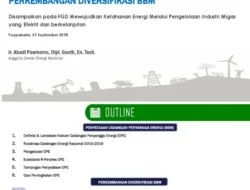 DEN Dorong Efisiensi BBM dan Diversifikasi Energi Hadapi Krisis Global