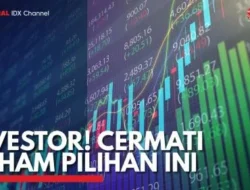 DEWA Siapkan RUPST Mei, Investor Diminta Cermati Tanggal Ini