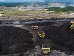 Dividen Besar, Buyback Rp5 Triliun, dan Harga Batu Bara Termahal: Transformasi Besar Adaro (Alamtri) di 2026