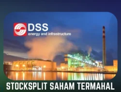 DSSA Tingkatkan Fokus pada EBT dan Digital, Rencanakan Stock Split 1:25