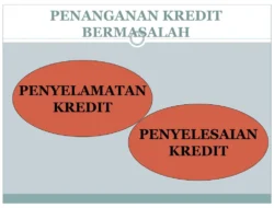 Dua Bank Terus Dorong Penyelesaian Kredit Bermasalah Warisan Masa Lalu