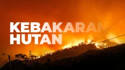 El Nino “Godzilla” Mengancam Indonesia: Hujan Redup, Kebakaran Hutan Meningkat di Masa Pancaroba