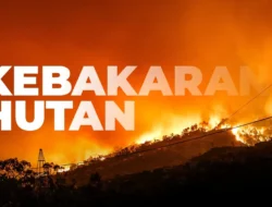 El Nino “Godzilla” Mengancam Indonesia: Hujan Redup, Kebakaran Hutan Meningkat di Masa Pancaroba