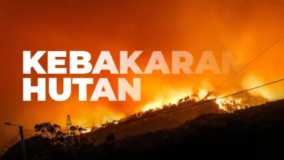 El Nino "Godzilla" Mengancam Indonesia: Hujan Redup, Kebakaran Hutan Meningkat di Masa Pancaroba