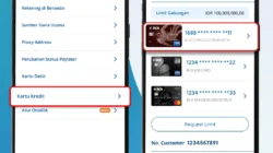 Fitch Tak Ubah Rating BCA dan Outlook Negatif, Begini Penjelasannya