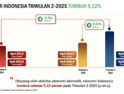Freeport Turun 50% pada 2025: Dampak Besar bagi Ekonomi Indonesia dan Ketegangan di Papua