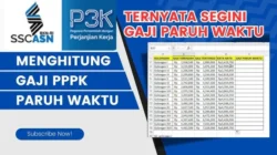 Gaji PPPK Paruh Waktu Terpuruk, Pemerintah Desak Swasta Patuh UMK