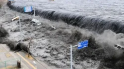 Gempa Hari Ini Guncang Jepang dan Indonesia: Magnitudo 7,7, Tsunami Mengancam Pantai & Gempa 5,1 di Alor