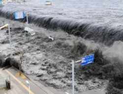 Gempa Hari Ini Guncang Jepang dan Indonesia: Magnitudo 7,7, Tsunami Mengancam Pantai & Gempa 5,1 di Alor