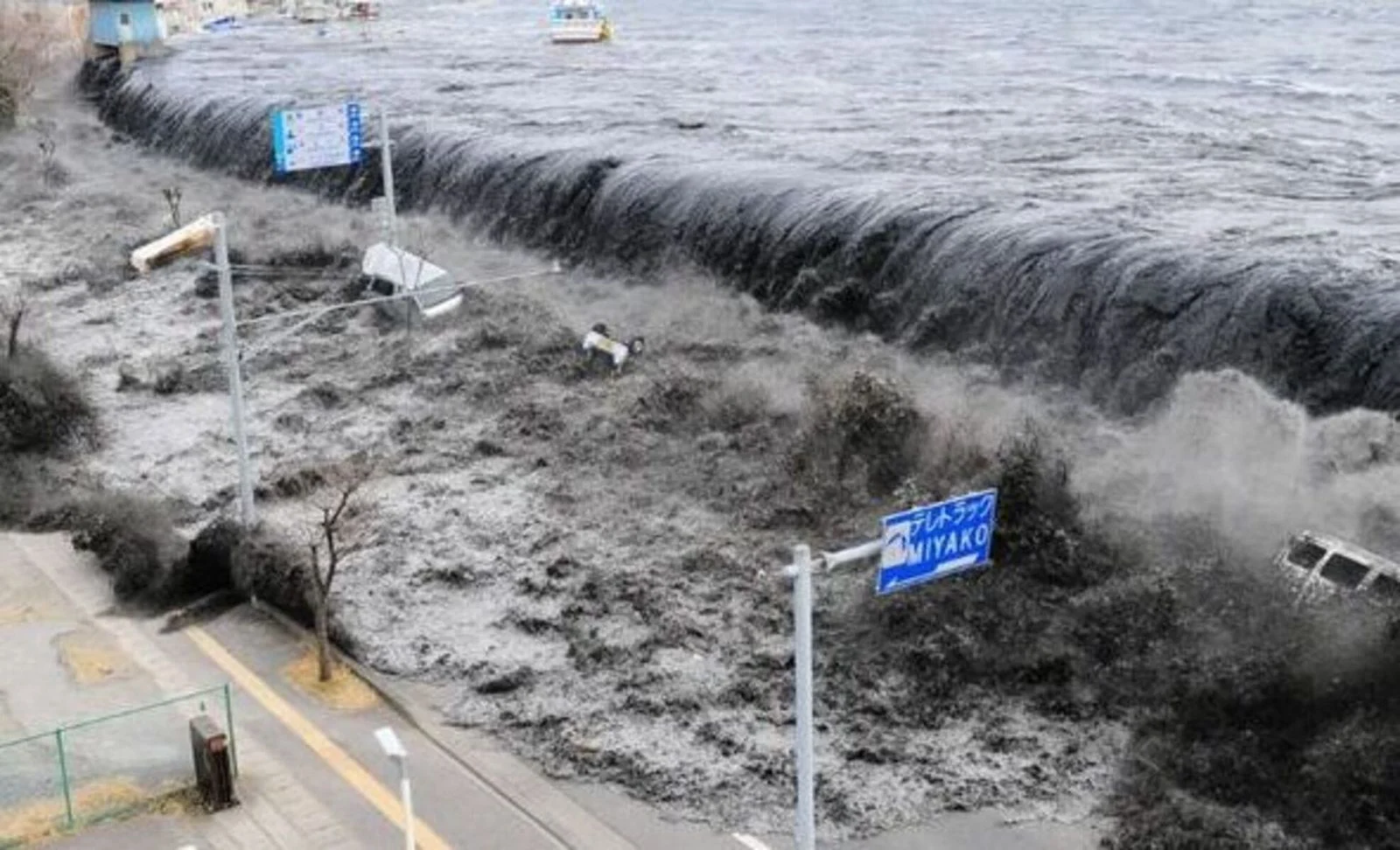 Gempa Hari Ini Guncang Jepang dan Indonesia: Magnitudo 7,7, Tsunami Mengancam Pantai & Gempa 5,1 di Alor