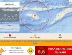 Gempa M4,5 Guncang Sumba Timur: Aktivitas Sesar Aktif Picu Aftershock dan Dampak di Flores Timur