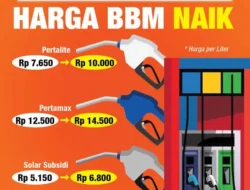 Harga BBM Naik, Ekonom Desak Pemerintah Kembalikan Insentif EV untuk Lindungi Konsumen
