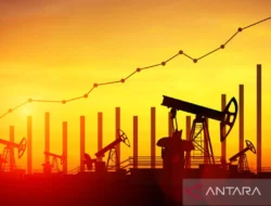 IEA Sebut Pasar Minyak Masuk Fase Anomali, Permintaan Turun, Harga Tetap Naik