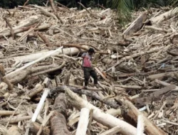 Indonesia Re Soroti Protection Gap, Dampak El Nino ke Klaim Asuransi Dinilai Terbatas